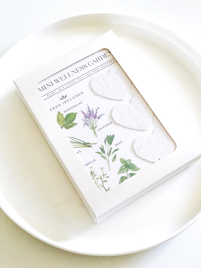 May include: A white rectangular box labeled MINI WELLNESS GARDEN containing three white heart-shaped seed paper pieces. The box features illustrations of peppermint, lavender, chives, chamomile, and sage with the text SEEDS INCLUDED.