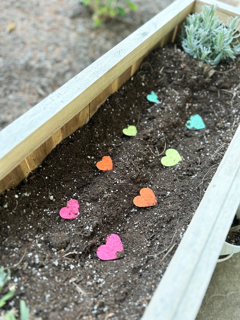 growNOTES™ Let's Grow Together Garden Bookmarks, Seed Paper, Vegetables, Teacher Gift, Students, Kids, Gardeners, Plantable, Summer Gift image 3
