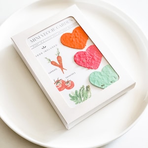 Grow-A-Garden Seed Paper Hearts, Carrots, Tomatoes, Lettuce (10 Pack) image 4