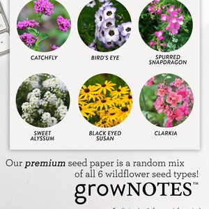 growNOTES™ Plantable Favor Cards, Grows Wildflowers, Seed Paper Packet, Wallet Size Guest Gift, Wedding, Shower, Botanical image 4