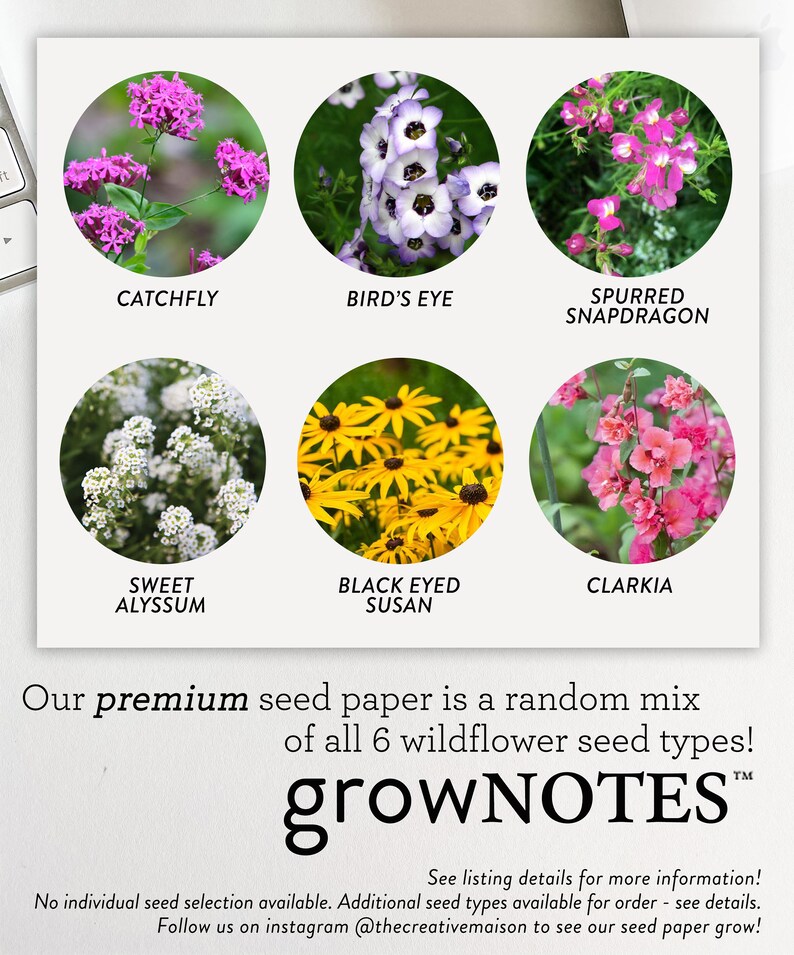 growNOTES™ Plantable Favor Cards, Grows Wildflowers, Seed Paper Packet, Wallet Size Guest Gift, Wedding, Shower, Botanical image 4