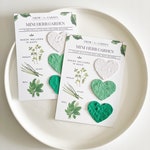 Herb Seeds