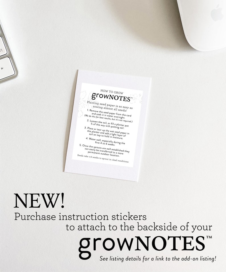 growNOTES™ Wedding Favors, Let Love Grow Plantable Seed Paper Cards, Grows Wildflowers, Wallet Size, Gifts, Shower, Botanical image 3