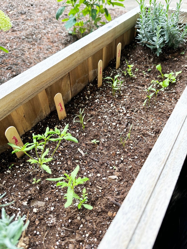 growNOTES™ Let's Grow Together Garden Bookmarks, Seed Paper, Vegetables, Teacher Gift, Students, Kids, Gardeners, Plantable, Summer Gift image 5
