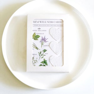 May include: A white rectangular box labeled Mini Wellness Garden containing three white heart-shaped paper cutouts and a printed card featuring illustrations of peppermint, lavender, chamomile, and sage plants with text instructions.