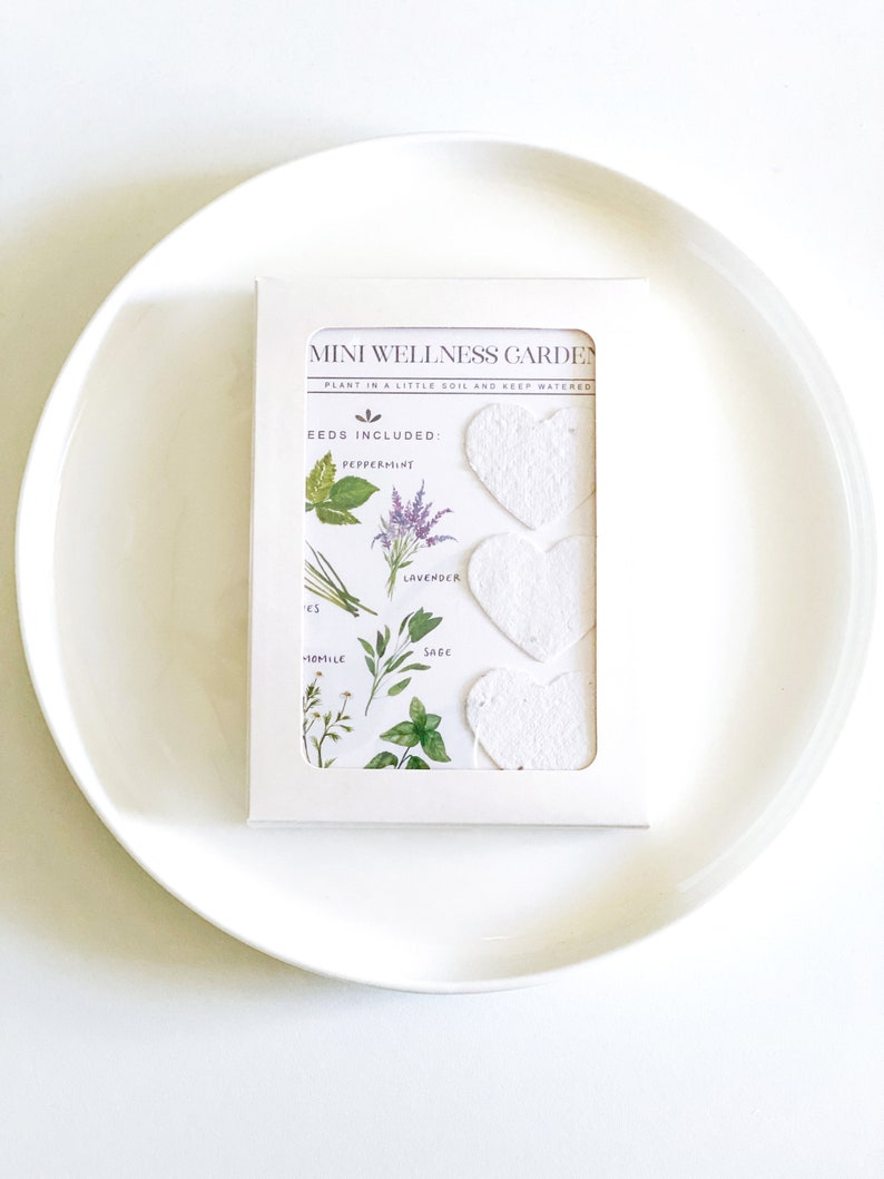 May include: A white rectangular box labeled Mini Wellness Garden containing three white heart-shaped paper cutouts and a printed card featuring illustrations of peppermint, lavender, chamomile, and sage plants with text instructions.