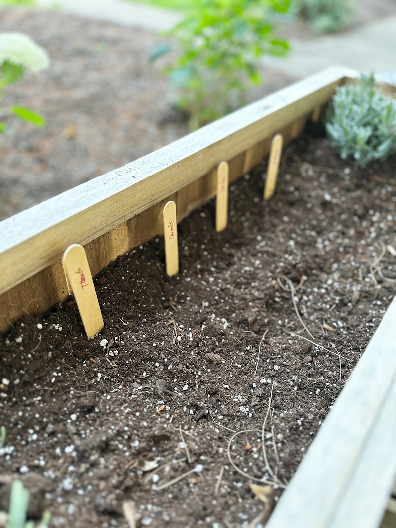 growNOTES™ Let's Grow Together Garden Bookmarks, Seed Paper, Vegetables, Teacher Gift, Students, Kids, Gardeners, Plantable, Summer Gift image 4