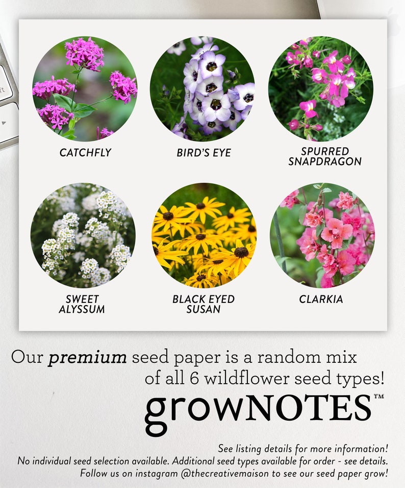 growNOTES™ Wedding Favors, Let Love Grow Plantable Seed Paper Cards, Grows Wildflowers, Wallet Size, Gifts, Shower, Botanical image 4