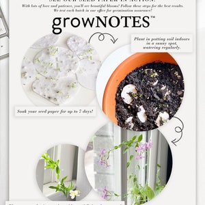 growNOTES™ Wedding Favors, Let Love Grow Plantable Seed Paper Cards, Grows Wildflowers, Wallet Size, Gifts, Shower, Botanical image 6