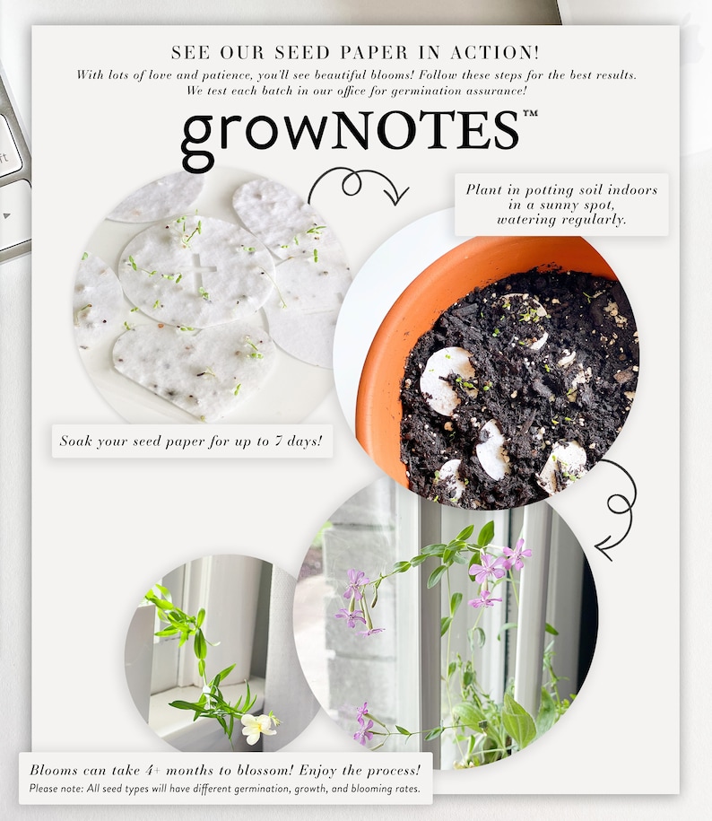 growNOTES™ Wedding Favors, Let Love Grow Plantable Seed Paper Cards, Grows Wildflowers, Wallet Size, Gifts, Shower, Botanical image 6