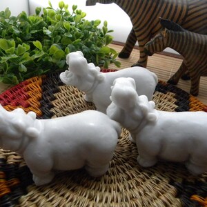 Hippo Soaps/ Hippopotamus soap image 3