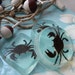 see more listings in the Seaside  items section