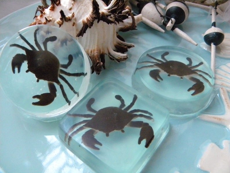 May include: Three clear resin paperweights, each containing a silhouette of a crab. The crabs are dark brown and appear to be pressed into the resin. The paperweights are on a light blue surface.