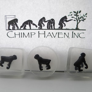 Chimpanzee /Ape Soap favors/ African Decor / Gorilla party favors