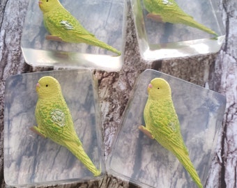 Parakeet party favors, birding soap favors, LTD