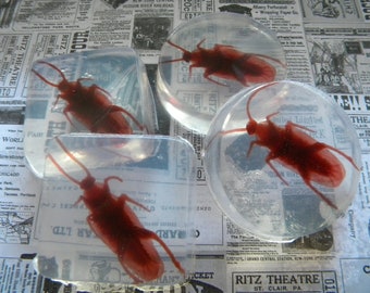 Cockroach Soap favors / Bug Party Favors / Insect soap