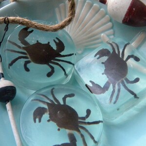 May include: Three clear resin coasters with a silhouette of a crab inside each. The coasters are on a blue and white background.
