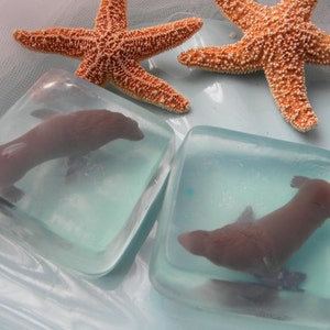 Seal Soap / Brown Fur Seal / Pinniped Gylcerin Soap