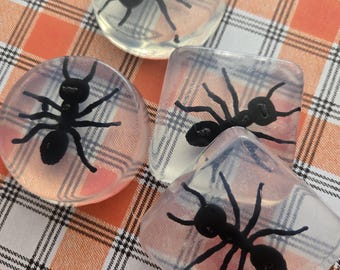 Ant soap favors