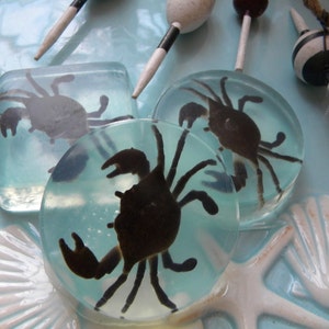 May include: Three clear resin coasters with a silhouette of a crab inside each. The coasters are on a blue and white tiled surface.