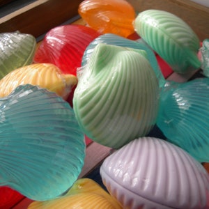 seashell guest soap