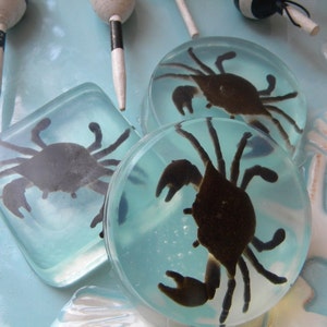 May include: Three clear resin paperweights with a crab silhouette inside. The crabs are black and the resin is clear with a light blue tint. The paperweights are on a light blue surface.