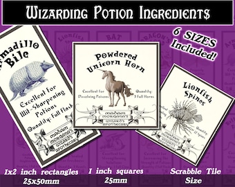 Wizard Labels, Potion Ingredient Labels, Squares and Rectangles with 6 sizes included! Download and print upon purchase