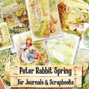 Może przedstawiać: Zestaw 10 ilustracji w stylu vintage z postaciami z historii o Króliku Peterze. Ilustracje są wydrukowane na białym papierze i przedstawiają różne sceny, w tym Królika Petera w ogrodzie, Jemimę Puddle-Duck nad stawem i Panią Tiggy-Winkle w jej domku. Ilustracje idealnie nadają się do scrapbookingu, tworzenia kartek i innych projektów rękodzielniczych.