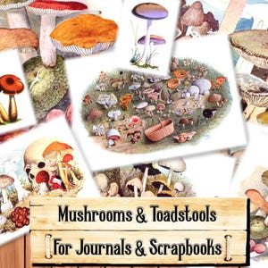 Champignons et champignons vénéneux, kit de journal indésirable, à télécharger et à imprimer lors de l'achat