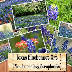 Texas Bluebonnet Art, Junk Journal Kit, Download and print upon purchase