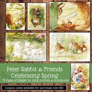 May include: A collection of 15 printed pages featuring watercolour illustrations of Peter Rabbit and friends in spring settings, including rabbits with carrots, ducks on a pond, and small animals gardening, with the text Peter Rabbit & Friends Celebrating Spring.