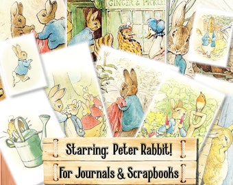 Beatrix Potter Nursery Decor, Peter Rabbit, Junk Journal Kit, Download and print upon purchase