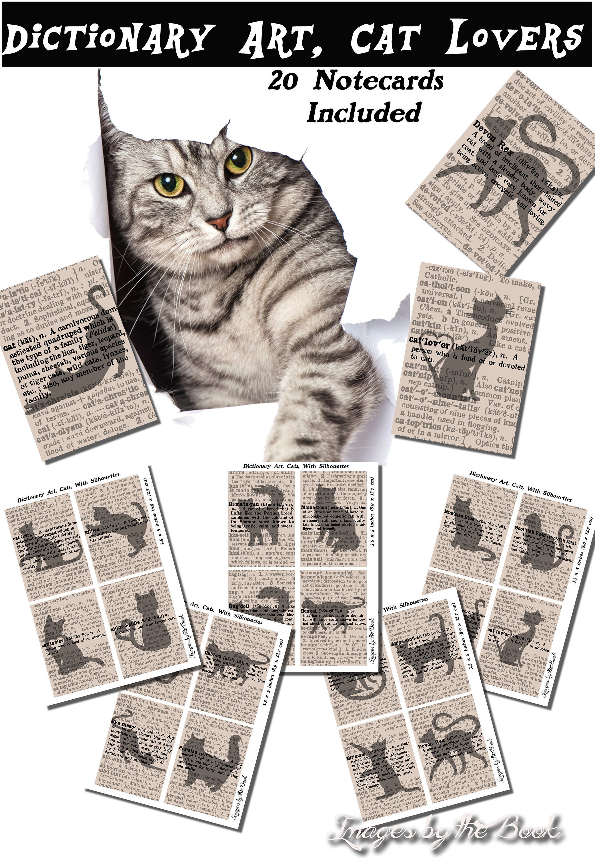 Dictionary Art for Cat Lovers Definitions of Cat Breeds Etsy
