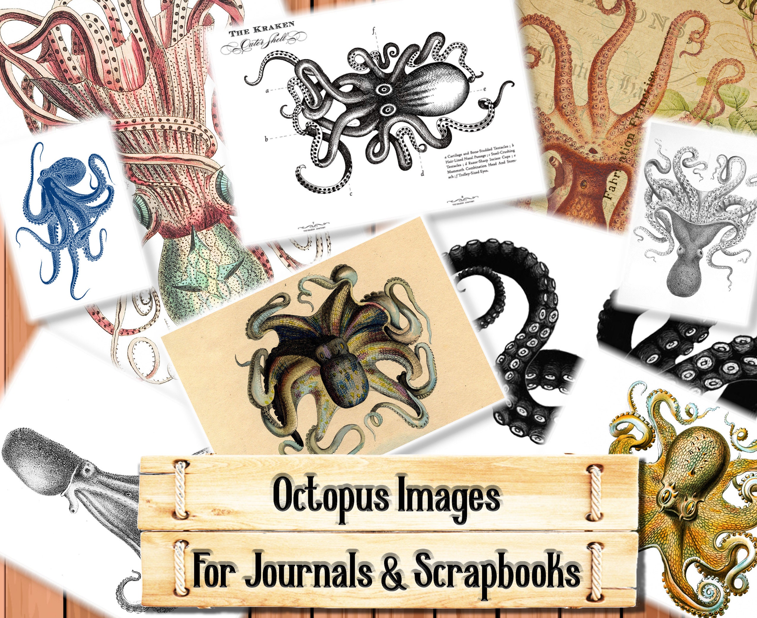 Octopus Customized Etsy