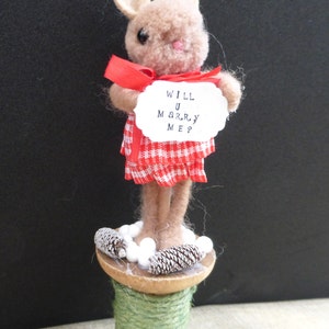 Will you Marry me? Christmas Bunny