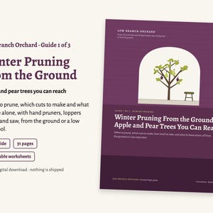 Winter Pruning From the Ground: How to Prune Apple and Pear Trees With Hand Tools, No Ladder | Printable PDF Guide, 7 Worksheets