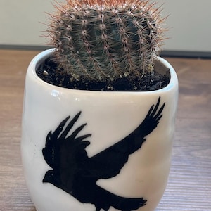May include: A small, round, green cactus with sharp, reddish-brown spines planted in a white ceramic pot. The pot features a black silhouette graphic of a bird in flight, depicted with wings spread and tail feathers visible on the side.