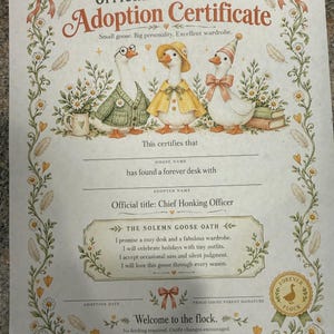 Desk Goose w/ Adoption Papers image 6