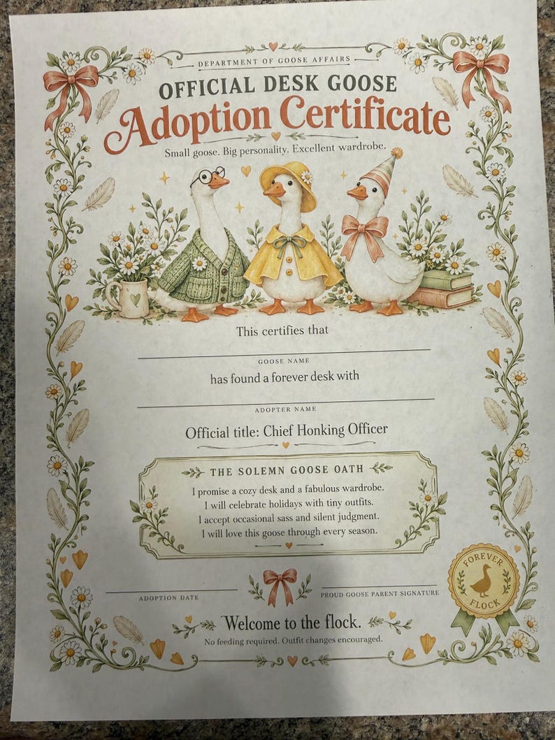 Desk Goose w/ Adoption Papers image 6