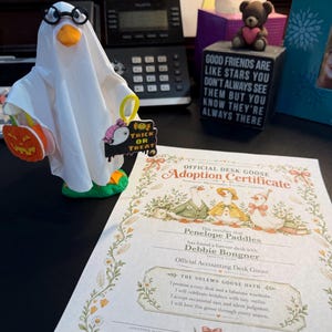 Desk Goose w/ Adoption Papers image 10