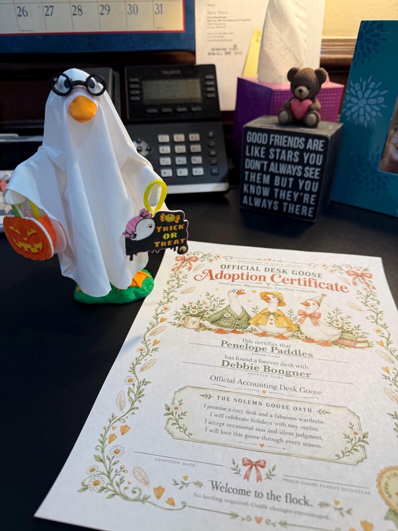 Desk Goose w/ Adoption Papers image 10