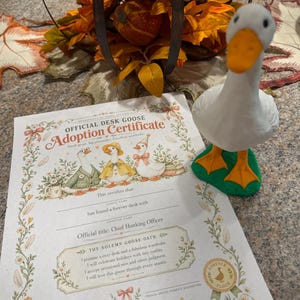 Desk Goose w/ Adoption Papers image 7