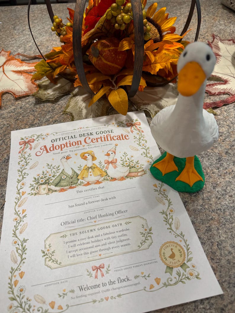 Desk Goose w/ Adoption Papers image 7