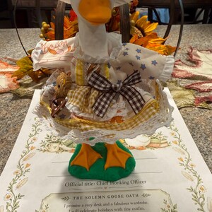 Desk Goose w/ Adoption Papers image 9