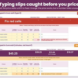 Typing slips such as a time typed as 1:30 or a missing cost turn the cell red instead of giving a wrong price