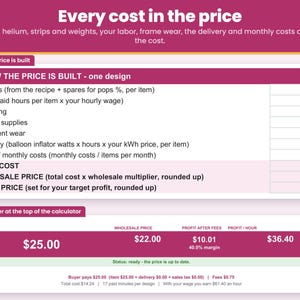 Price breakdown line by line: balloons and supplies, labor, equipment wear, inflator electricity, monthly costs, total cost, wholesale and retail price