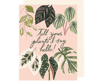 Hello Plants Card - Single or Box Set of 6