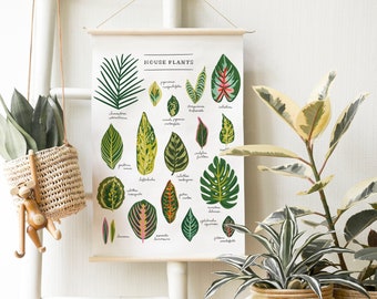 Houseplants Canvas Banner Chart Hanging Banner Foliage Art Print