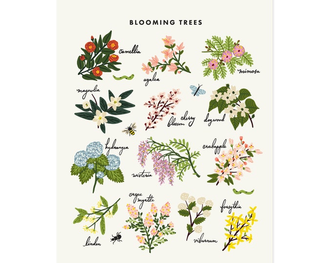 Blooming Trees Art Print Floral Chart