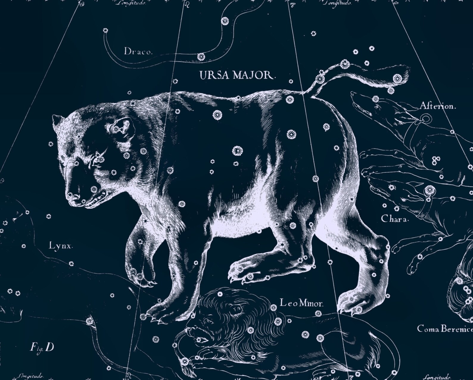 Большая медведица созвездие. Звездное созвездие большая медведица. Созвездие большой медведицы. Малая медведица созвездие звезды. Созвездия звездного неба большая медведица.